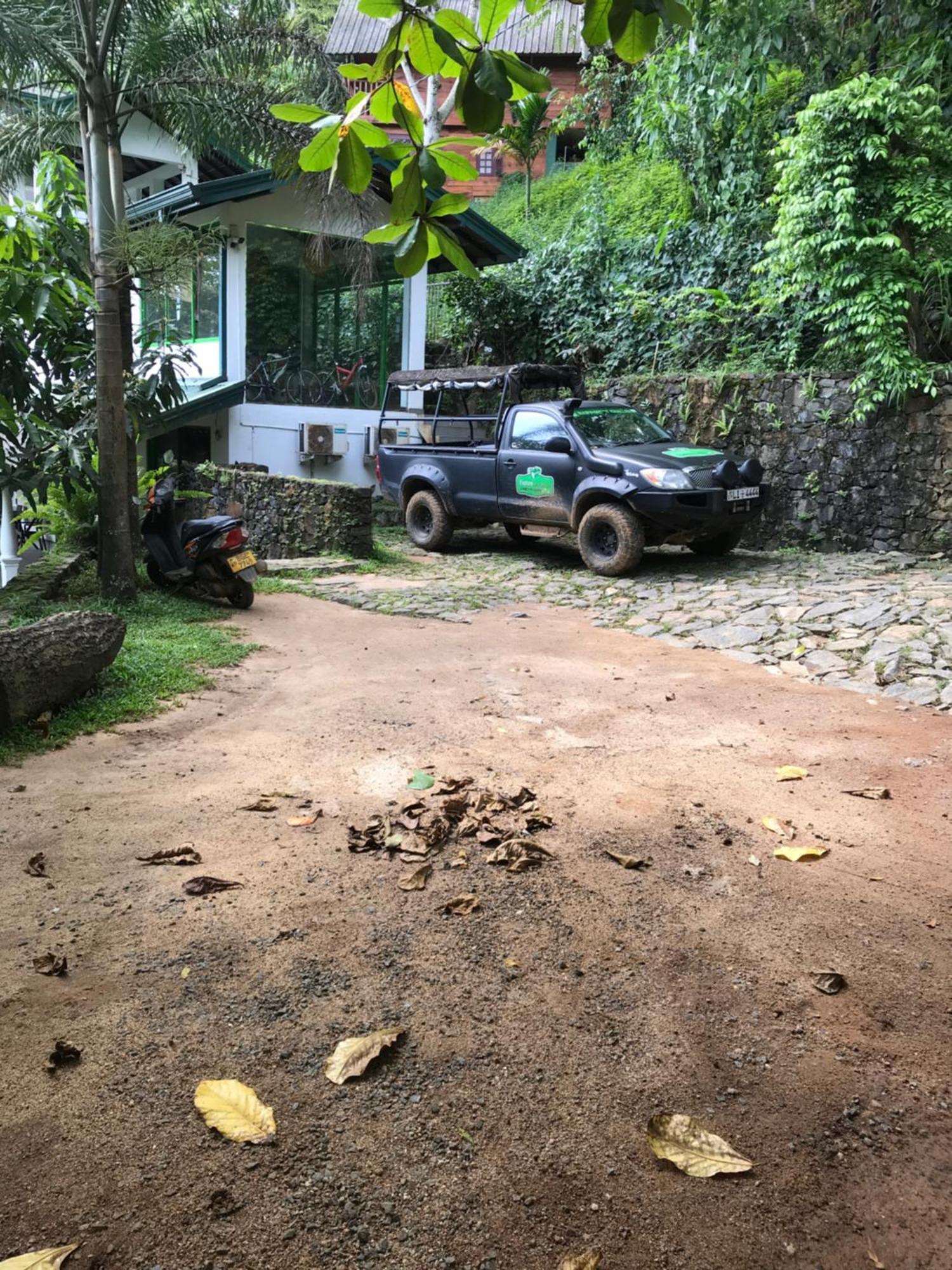 Explore Sinharaja Rain Forest Tour Camp Dombagoda Exterior photo