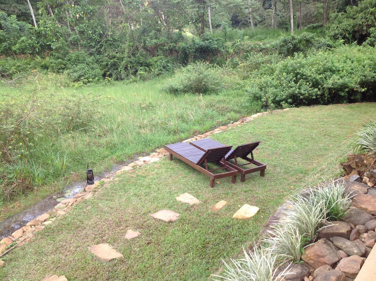 Explore Sinharaja Rain Forest Tour Camp Dombagoda Exterior photo