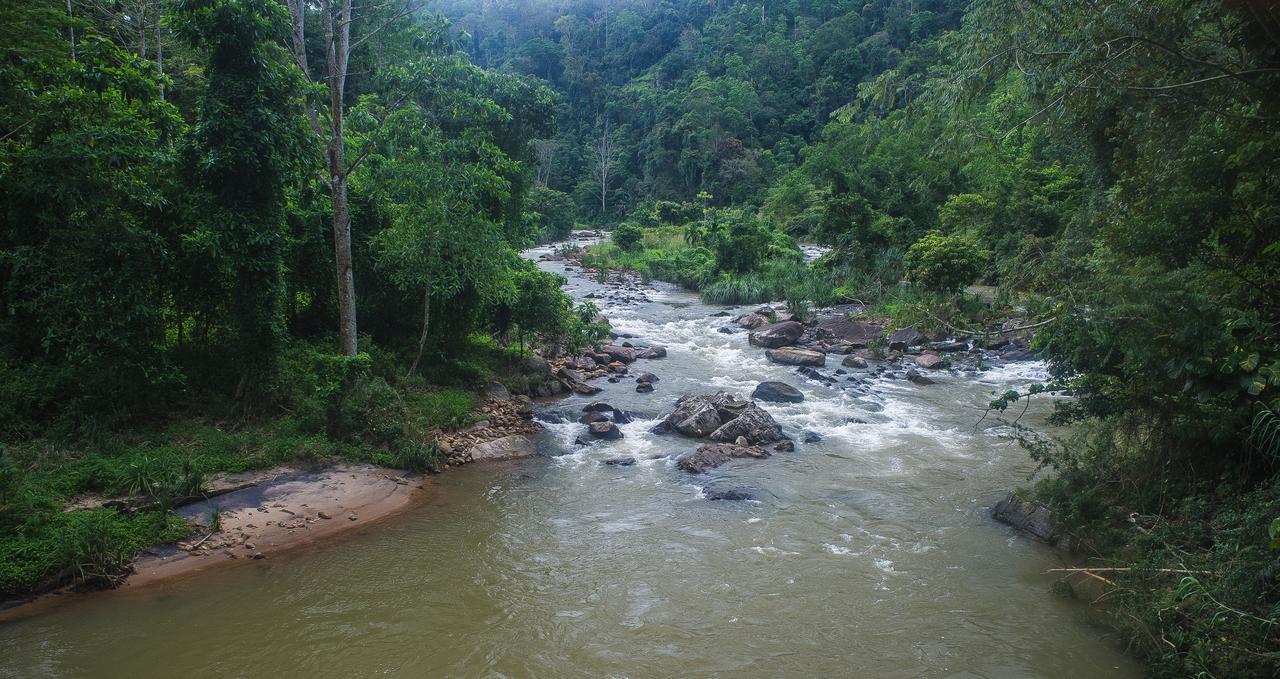 Explore Sinharaja Rain Forest Tour Camp Dombagoda Exterior photo