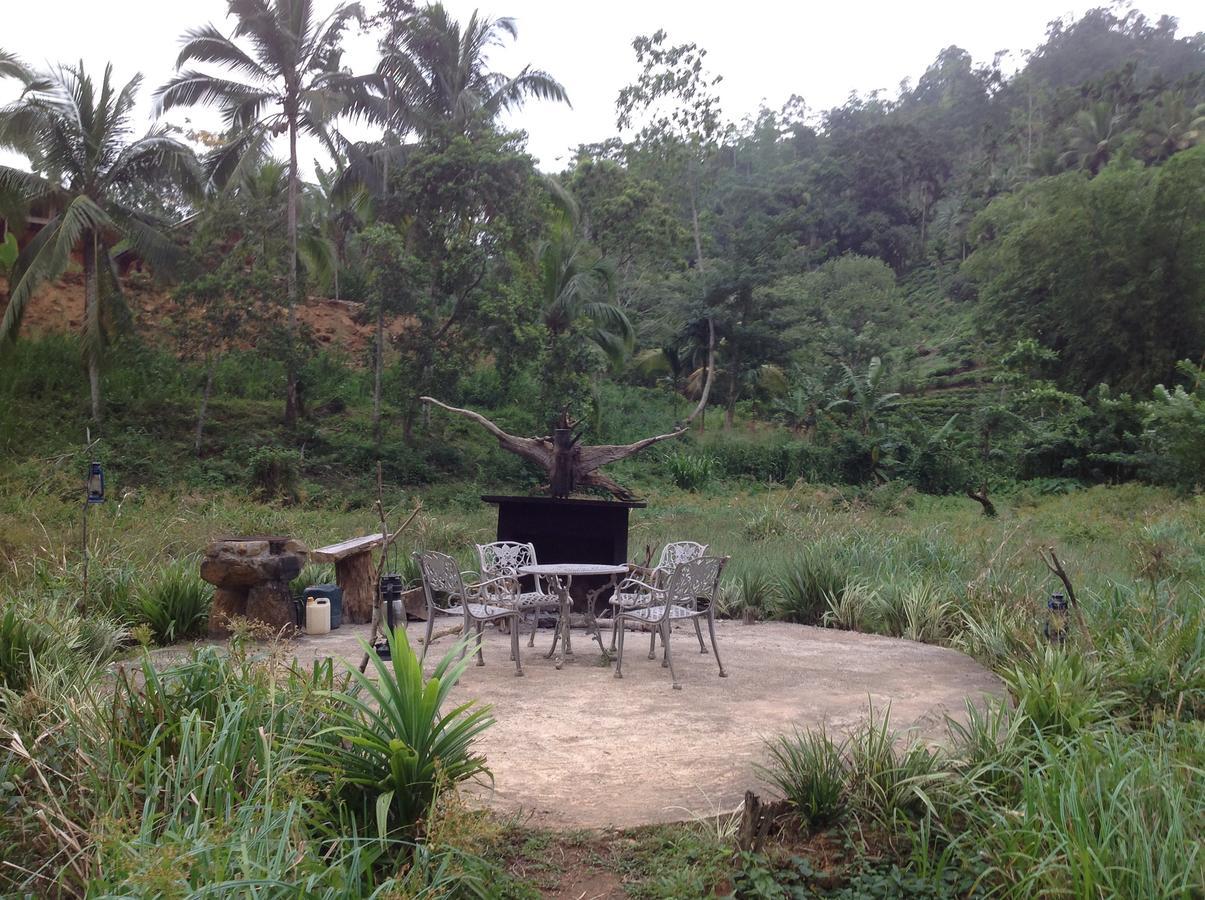 Explore Sinharaja Rain Forest Tour Camp Dombagoda Exterior photo