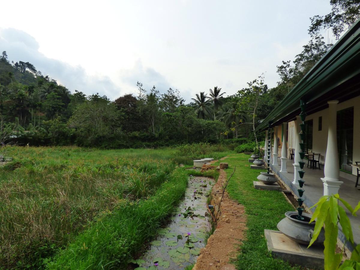 Explore Sinharaja Rain Forest Tour Camp Dombagoda Exterior photo